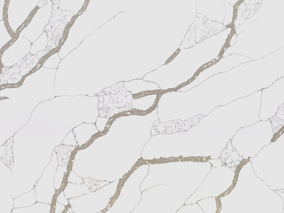 Calacatta Pisa Forever Quartz Quartz 3CM