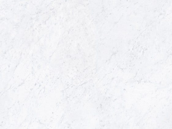 Bianco Carrara Porcelain 12MM