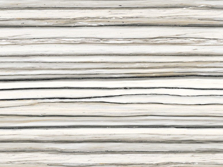 Zebrino Porcelain 12MM
