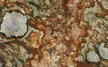 Desert Canyon Granite 2CM