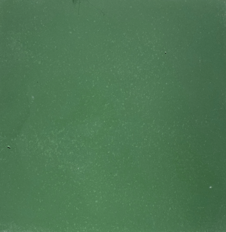 Strands Domino x Emerald 2 x 8 Cement Tile