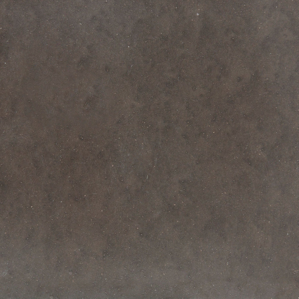 Laguna Fossil Polished Concrete Tile