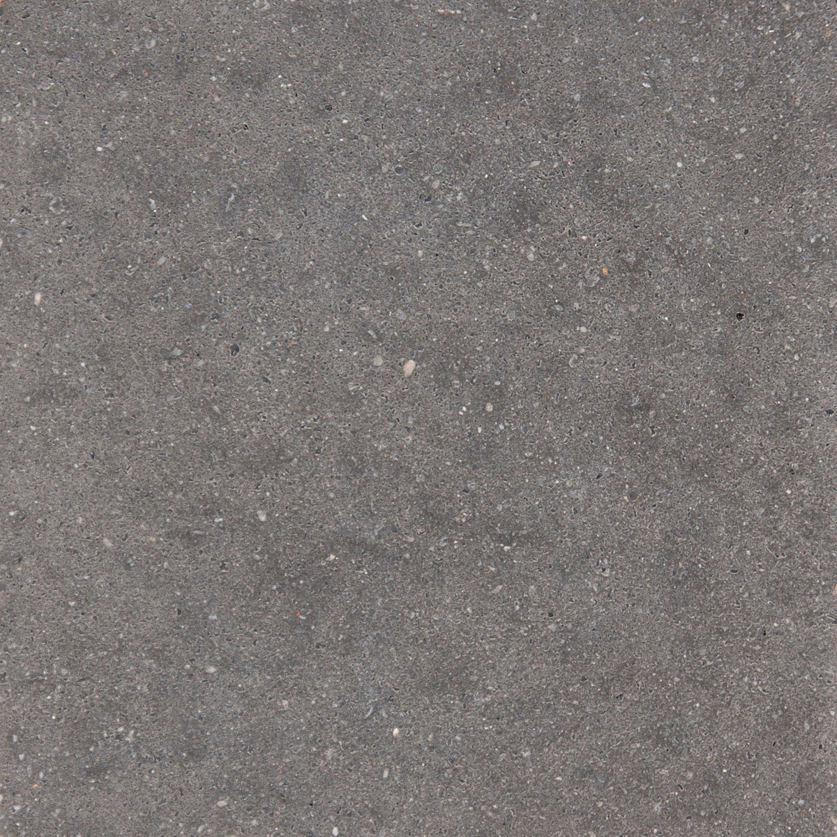Solana Fossil Honed Concrete Tile