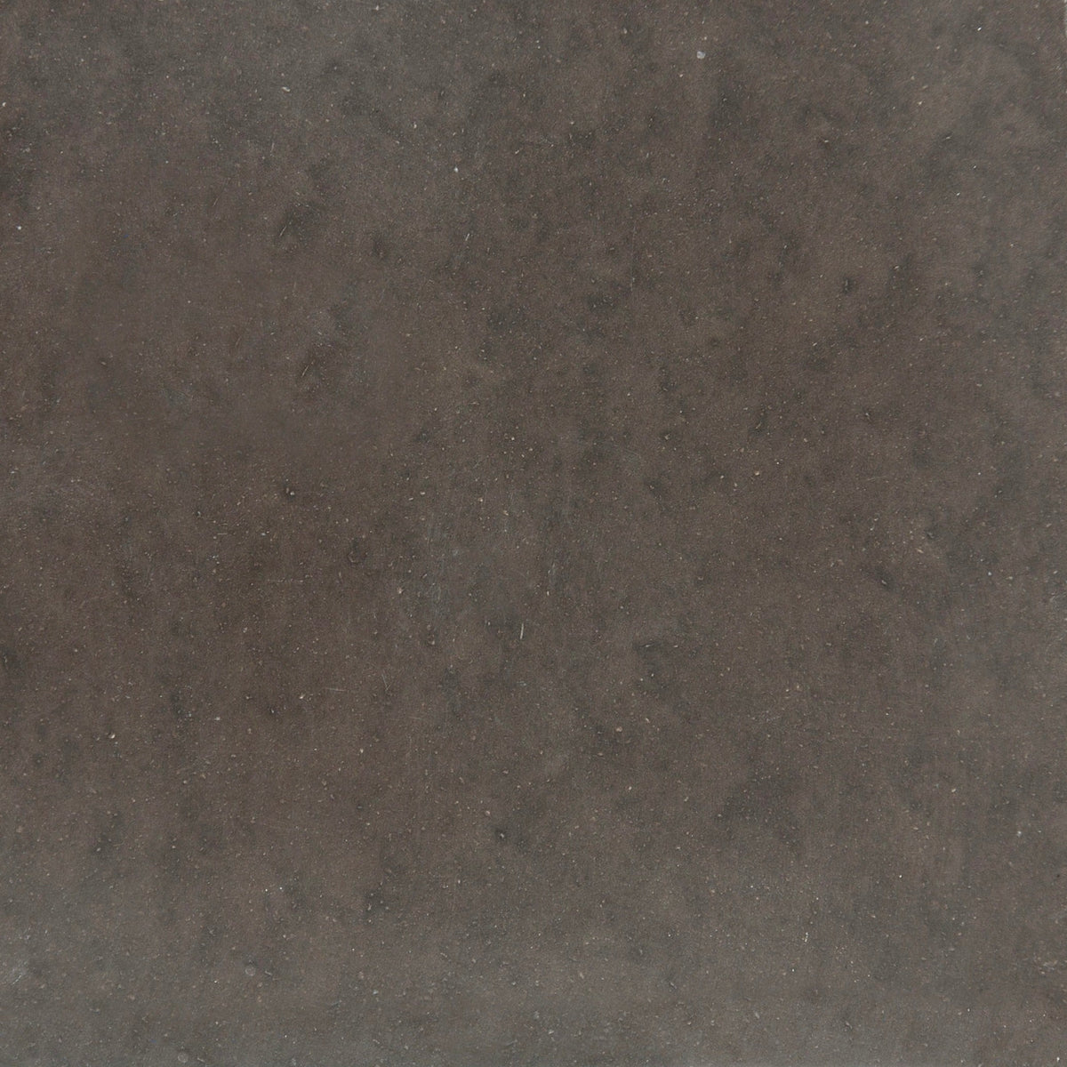 Laguna Fossil Polished Concrete Tile 24x24 In Stock