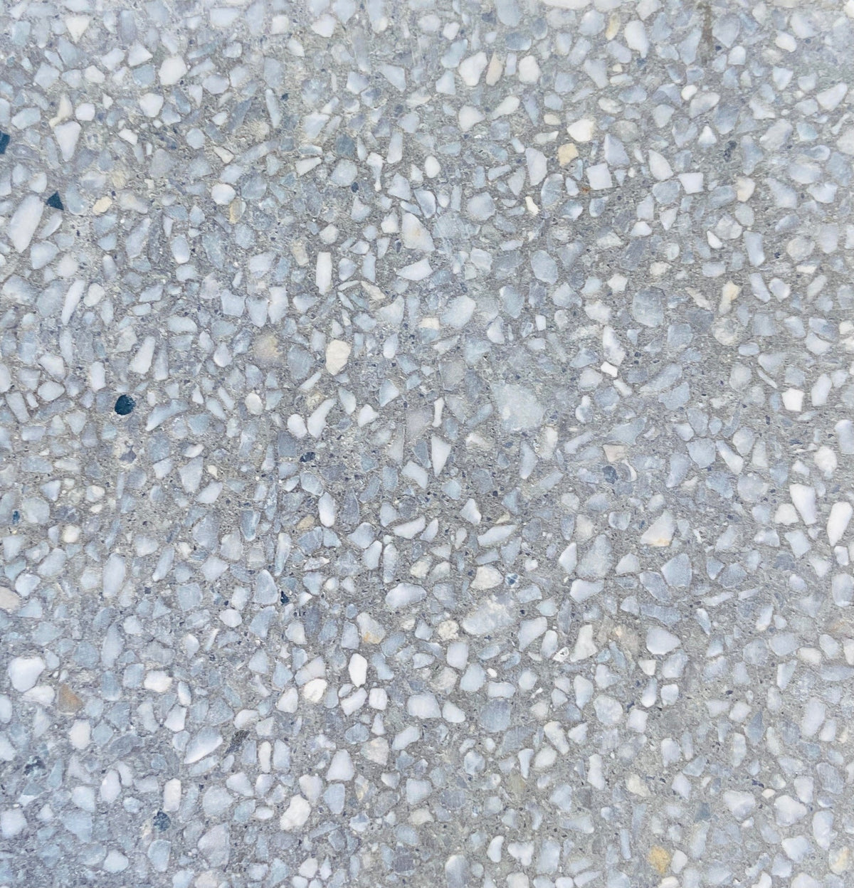 Trails Xsmall Fossil XSMC Terrazzo Paver