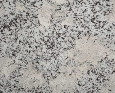 Bianco Alpino Granite 2CM