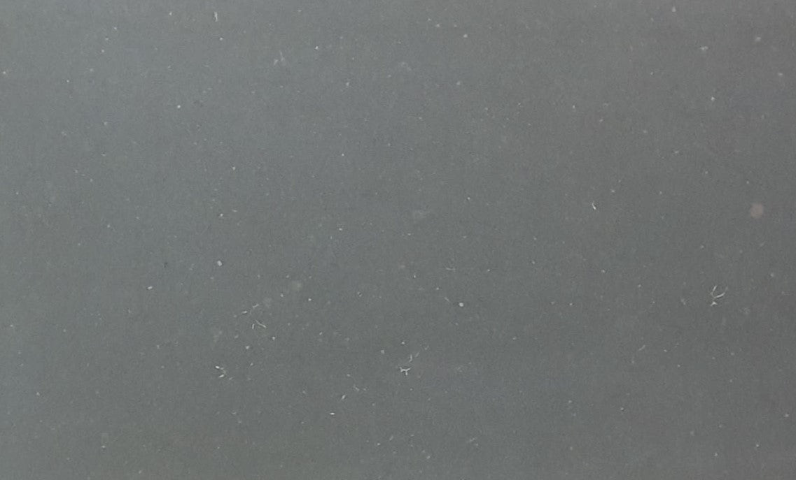Petit Honed Limestone 2CM