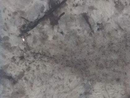 Royal Dream Granite 3CM