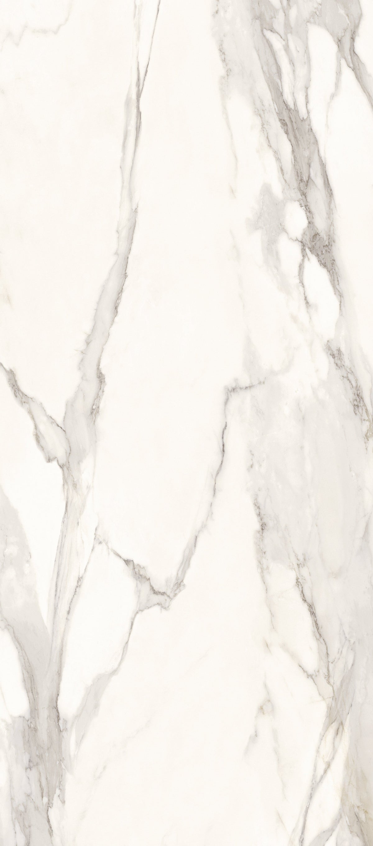 Calacatta Absolute Tech Matte Porcelain 12MM