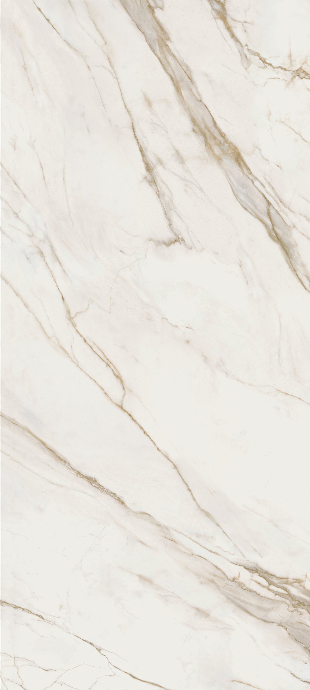 Calacatta Extra Tech Porcelain 12MM