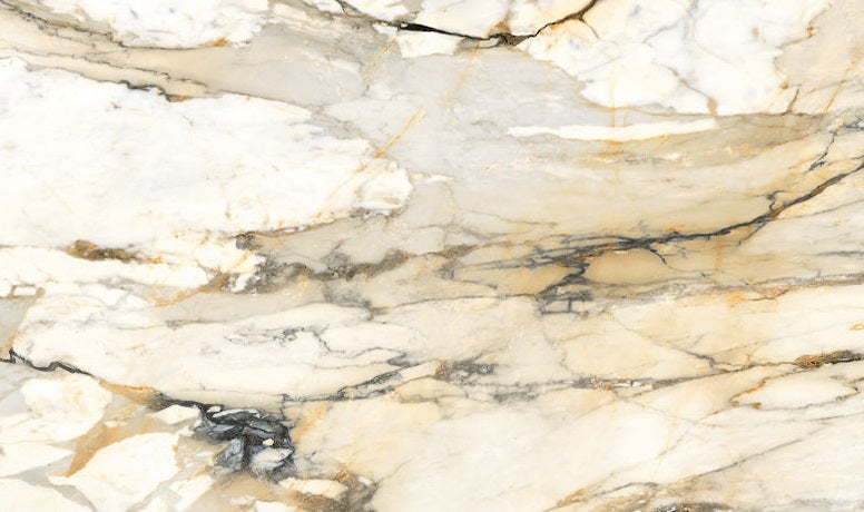 Calacatta Macchia Vecchia Tech Matte Porcelain 12MM