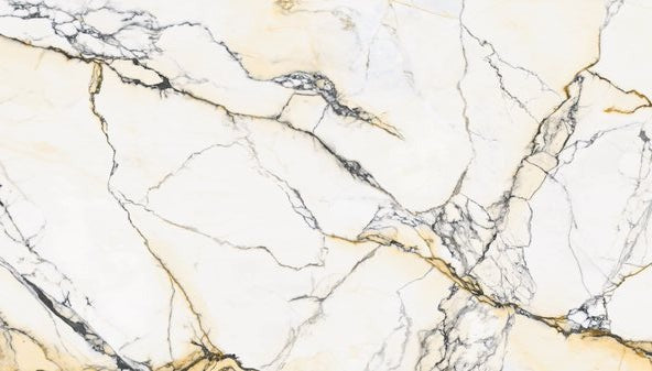 Paonazzo Tech Porcelain 12MM
