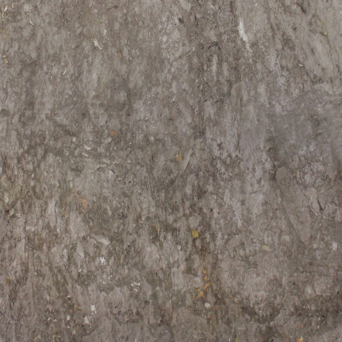 GRIGIO BILLIEMI MARBLE 2CM – Go-Granite