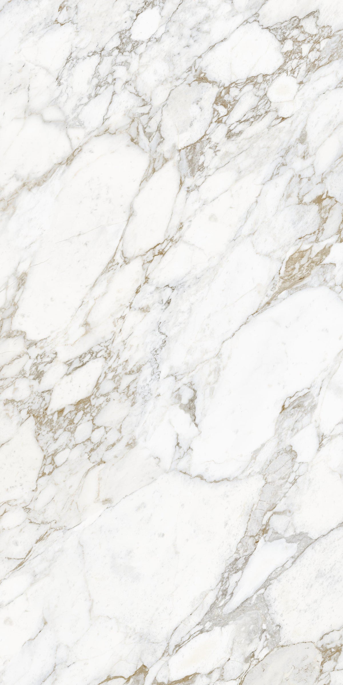 Laminam Arabescato Gold 12MM slab