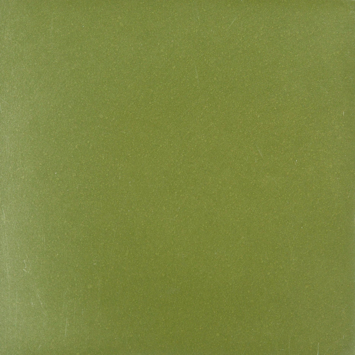 Laguna Lichen Polished Concrete Tile