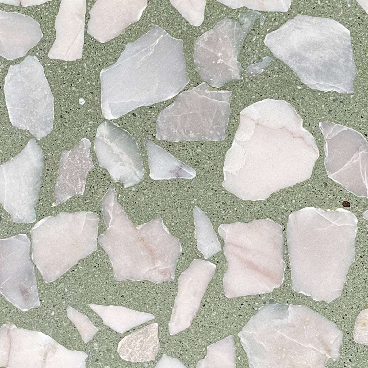 Trails Large Lichen LMC Terrazzo Paver
