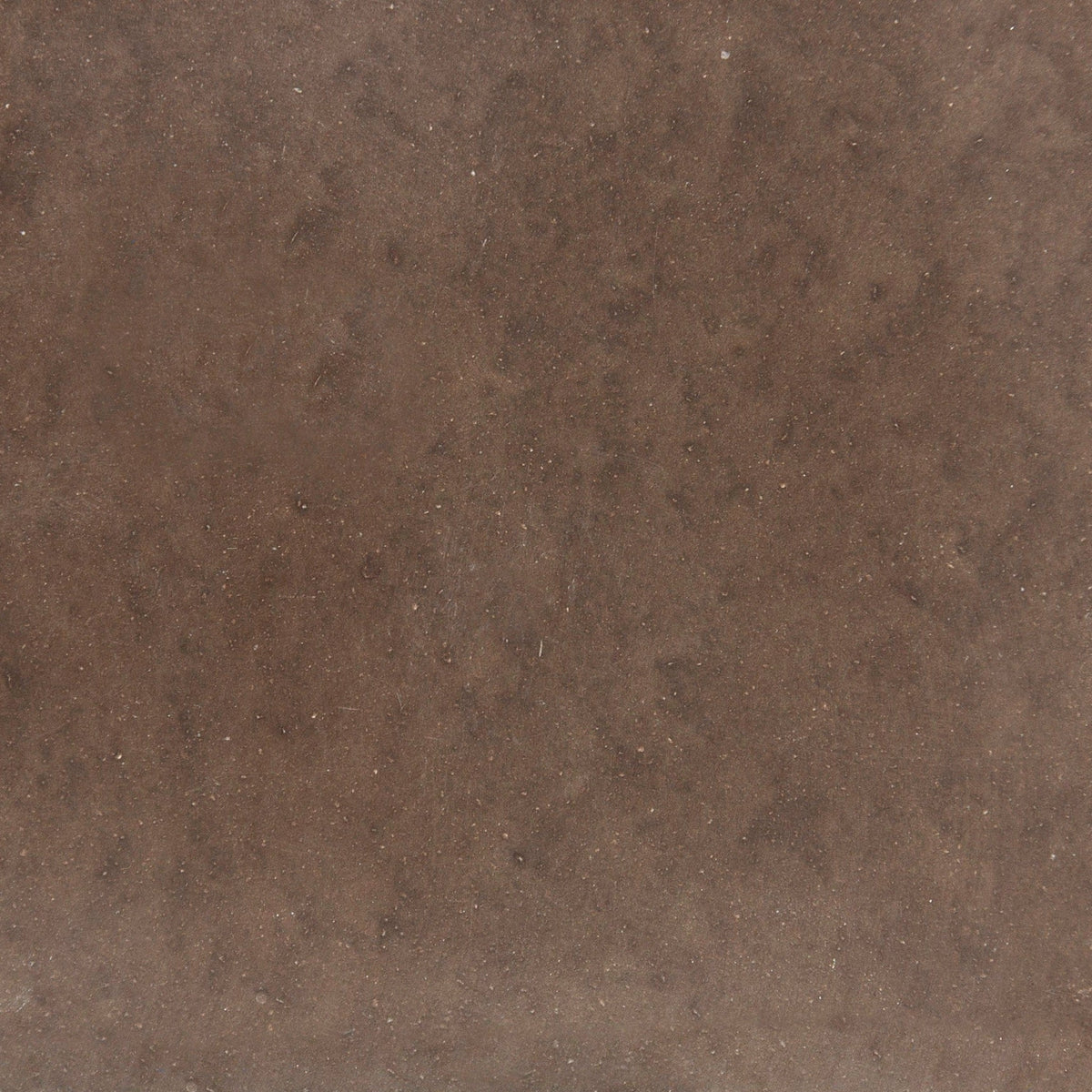 Laguna Mocha Polished Concrete Tile