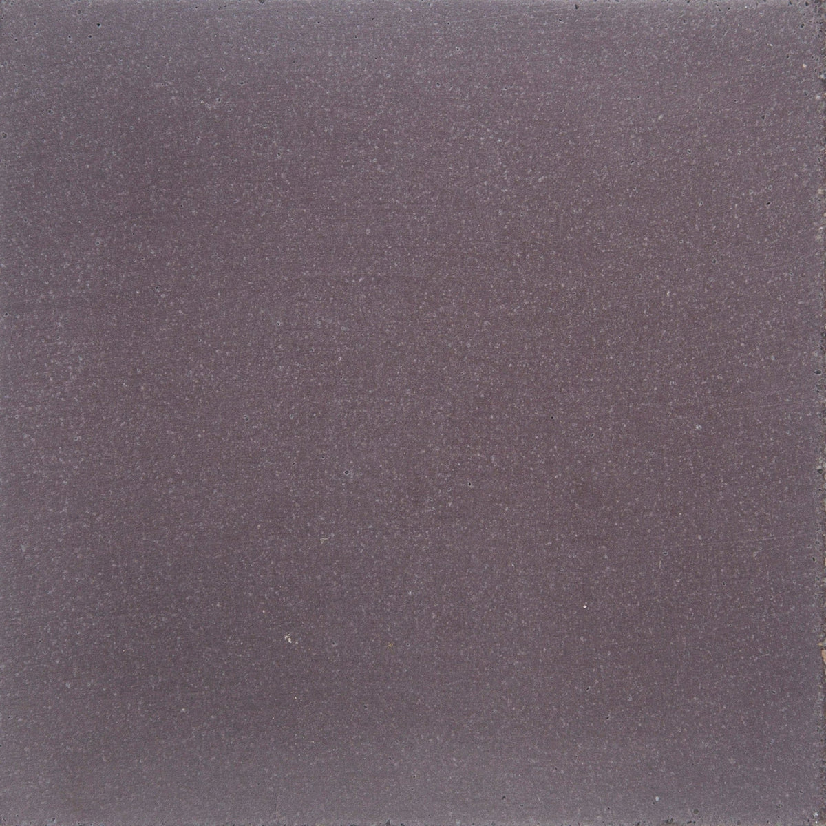 Laguna Mulberry Polished Concrete Tile