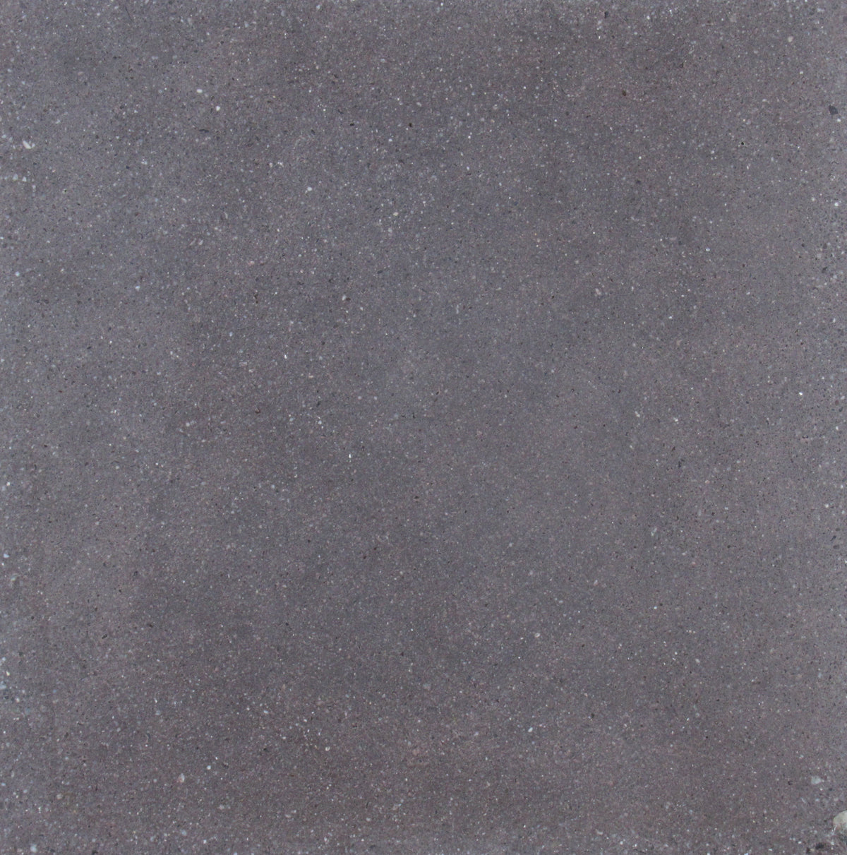 Solana Mulberry Honed Concrete Tile