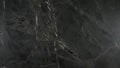 Negresco Satin Granite 2CM