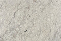 New Romano Granite 2CM
