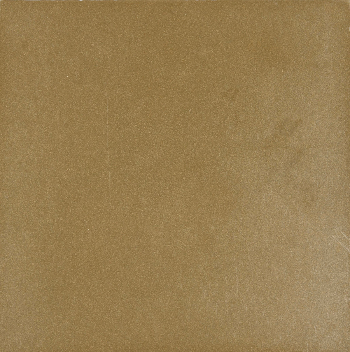 Laguna Olive Polished Concrete Tile