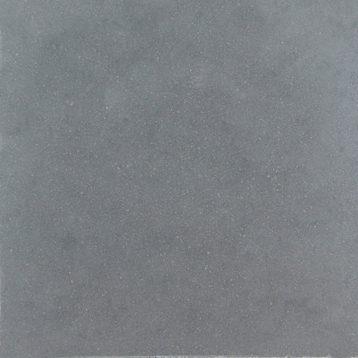 Laguna Pewter Polished Concrete Tile