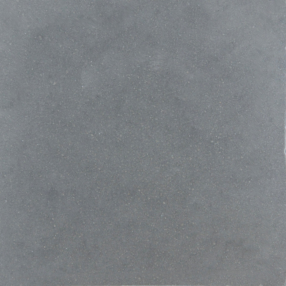 Laguna Pewter Polished Concrete Tile 24x24 In Stock