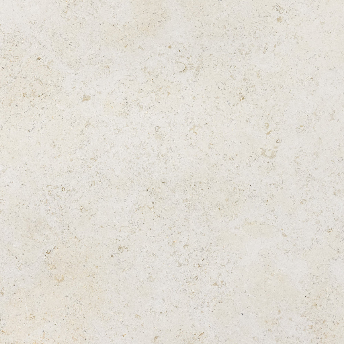 Crema Luna Limestone 2CM slab