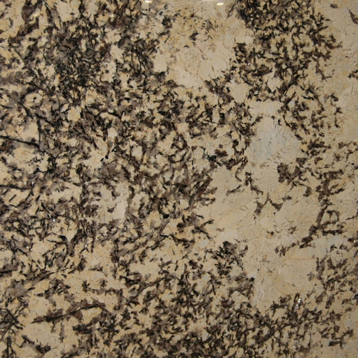 SPLENDOR GRANITE 3CM – Go-Granite