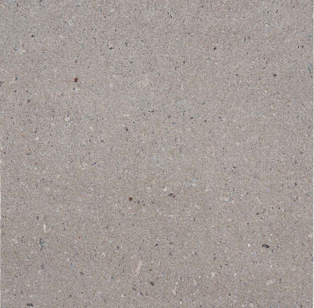 Trails Flekk Taupe Terrazzo Paver