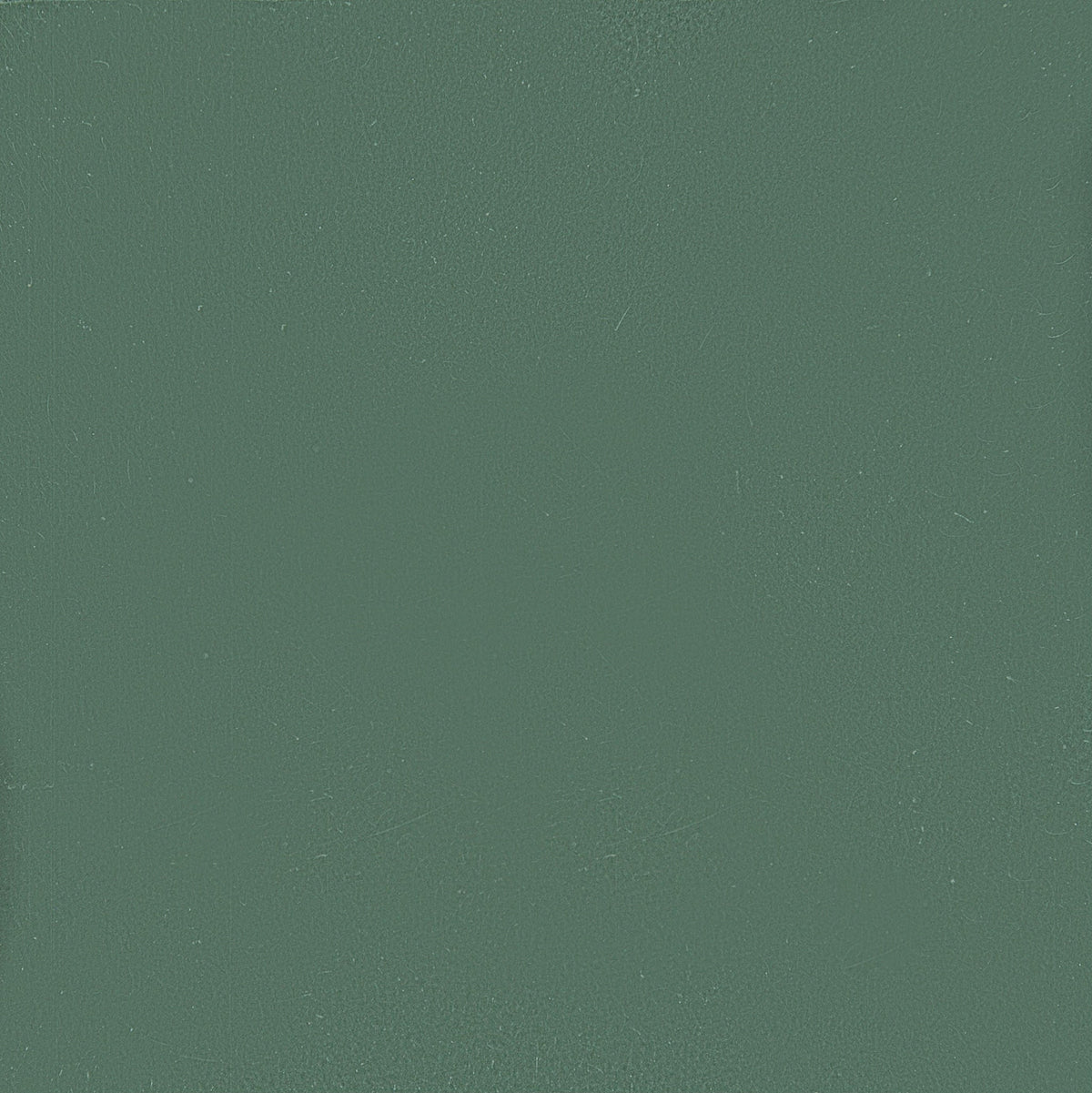 Strands Universal Green Cement Tile